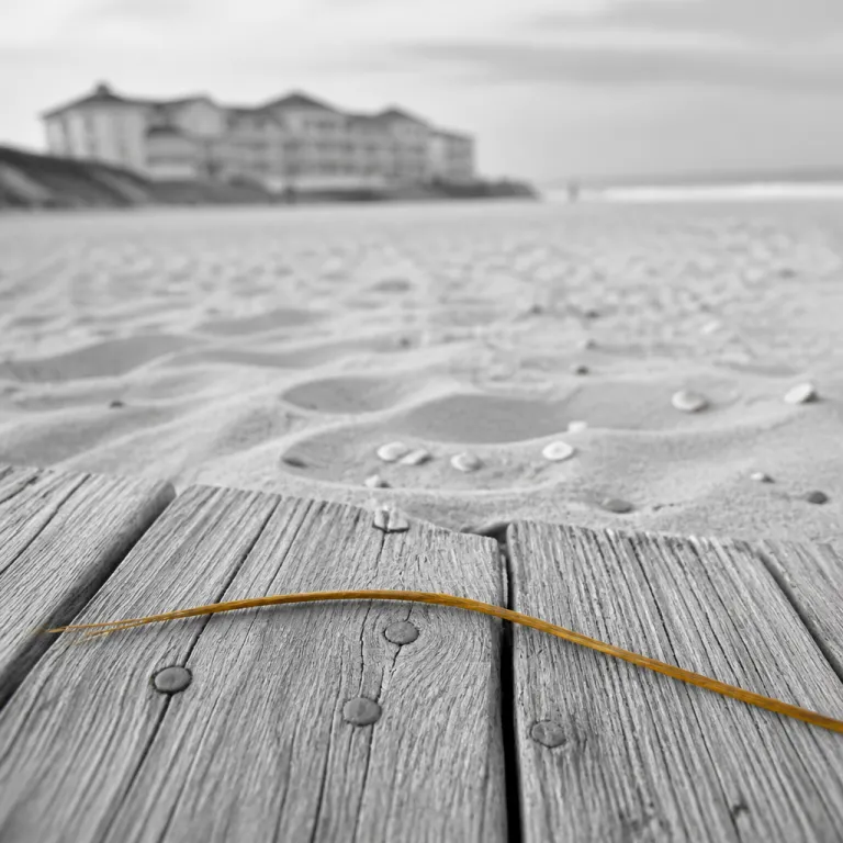 Best Time to Visit Florida for Beaches: Seasons, Weather, and Beachfront Hotels